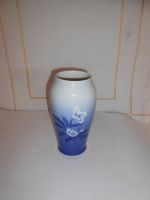 DSCN0740.JPG