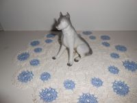 DSCN3974.JPG