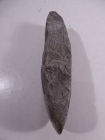 Filnavn=P1000487.JPG
Filstørrelse=109KiB
Dimensioner=600x800
Dato for tilføjelse=07 Sep, 2019 P1000487.JPG