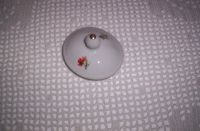 100_4030.JPG